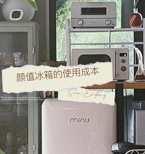冰箱温度探头损坏的处理方法（冰箱温度探头坏了怎么办）