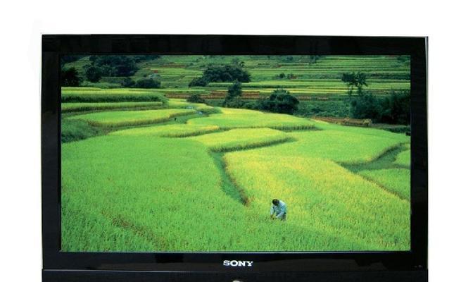 电视机终端故障解决方案（实用技巧和常见问题的解答）