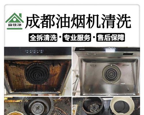 如何清洗鞋子上的油烟机油（有效清除鞋子上的油烟机油污渍）
