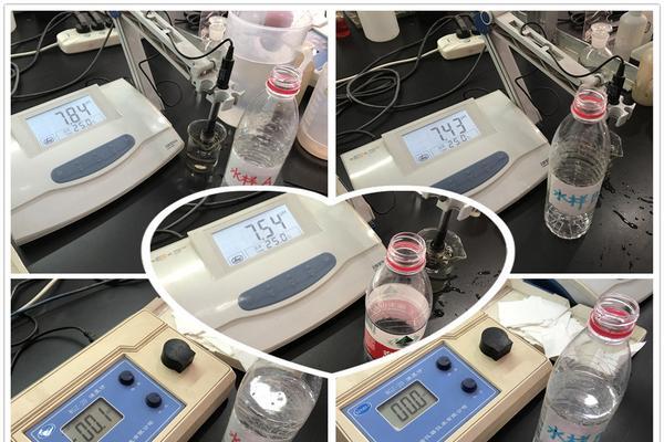 净水器浊度处理的原理与方法（科学技术改善生活水质的关键）