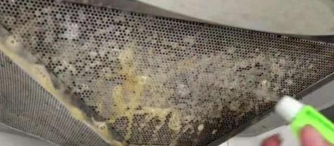 如何高效清洁樱花油烟机的油垢（清洗技巧与注意事项）