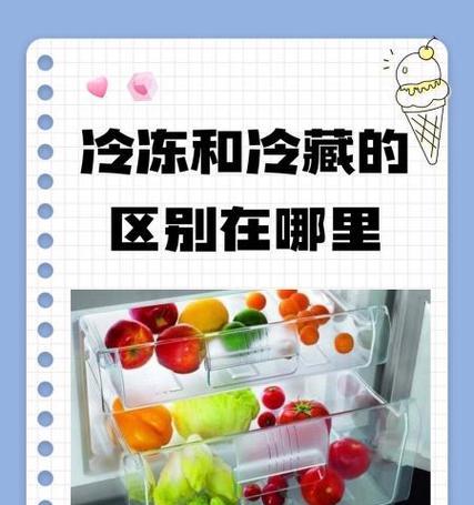 冷冻与冷藏（探究食物冷冻和冷藏的区别及其效果）