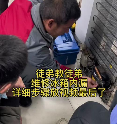 冰箱内漏的原因与维修方法（解决冰箱内漏问题的实用指南）