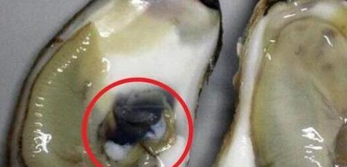 油烟机的油垢清洗生蚝有哪些方法？步骤是什么？