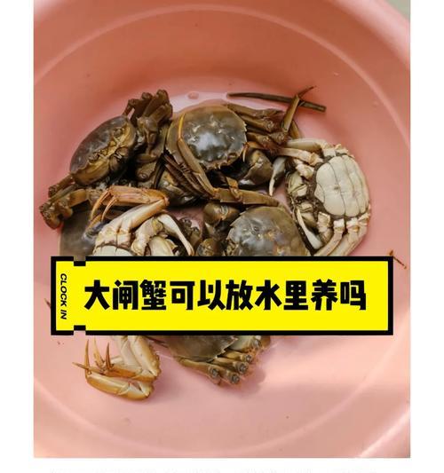 生虾和螃蟹能否隔夜放入冰箱？安全存放指南是什么？