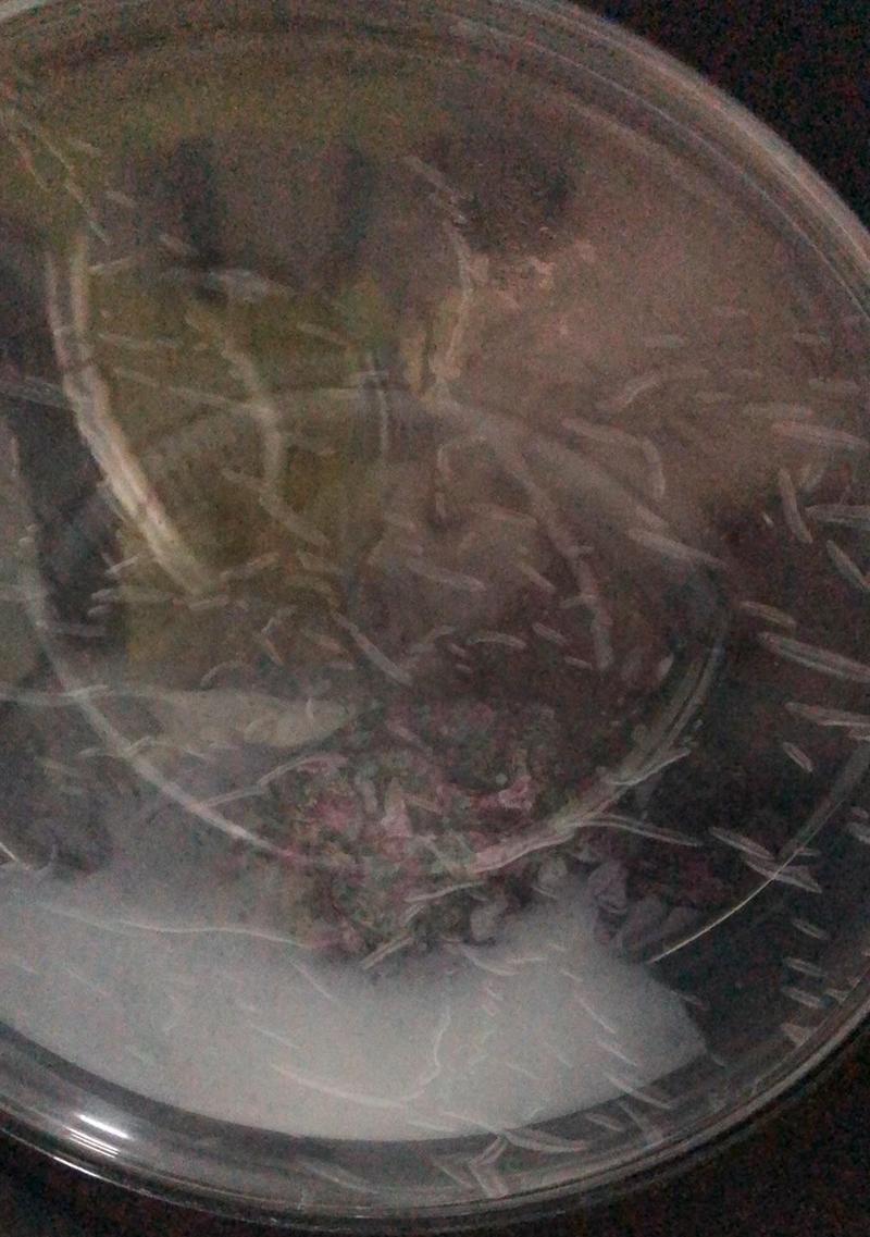 西门子洗衣机不进水？检查哪些部件可以解决？