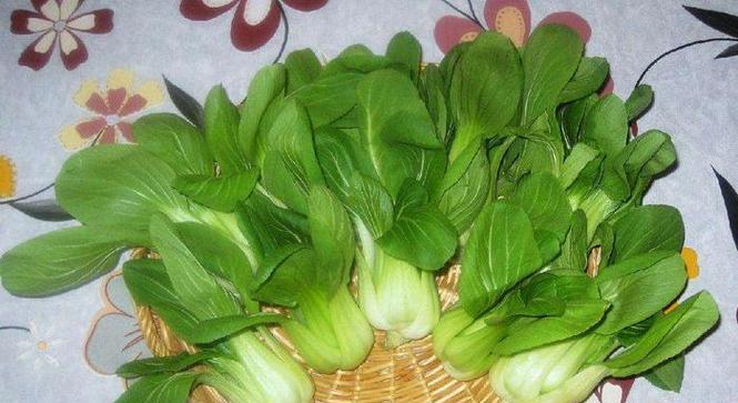 青菜冰柜保存最好方法是什么？如何延长青菜的新鲜度？