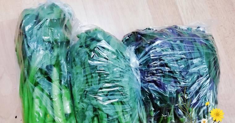青菜冰柜保存最好方法是什么？如何延长青菜的新鲜度？