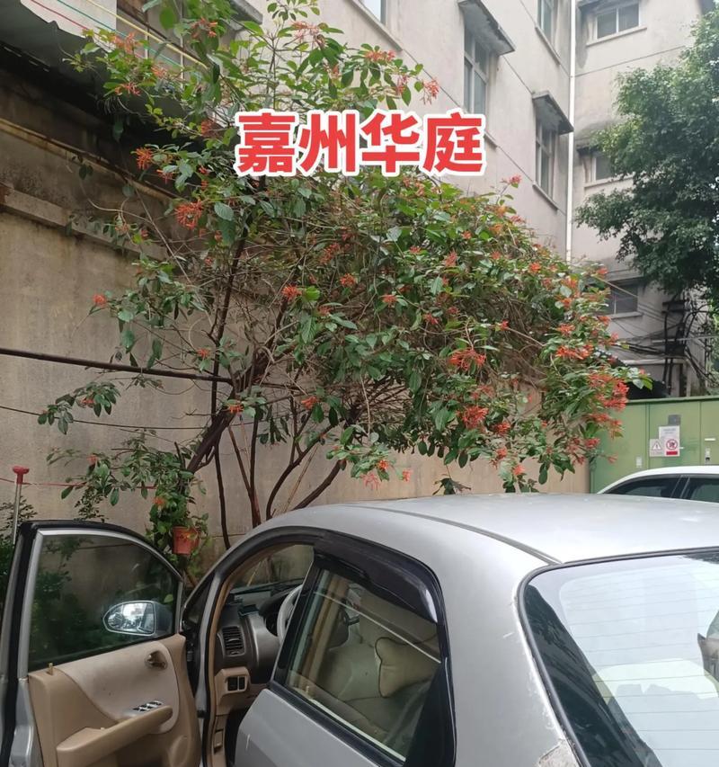 洗衣机显示e6是什么意思？如何解决洗衣机e6故障？