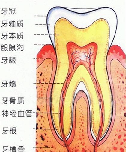 用手机怎么拍牙齿照片？有哪些拍摄技巧？