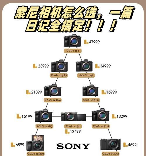 索尼相机拍摄视频时应该选择哪种镜头？