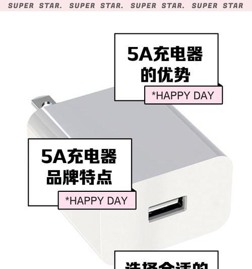 只能充一面的充电器有什么特别之处？它的名称是什么？